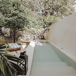  Bed and breakfast Boutique Kaa México