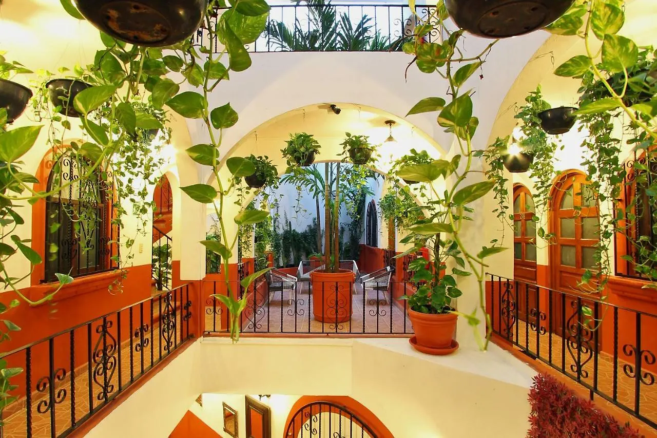 Alma Y Mar Apart Hotel 5Th Av Πλάγια Ντελ Κάρμεν